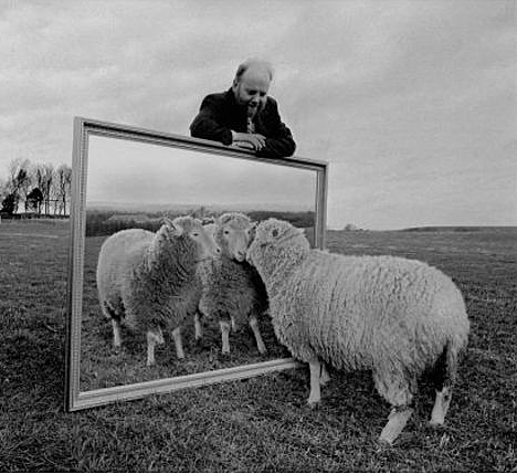 Clonacion del primer mamifero (Dolly)