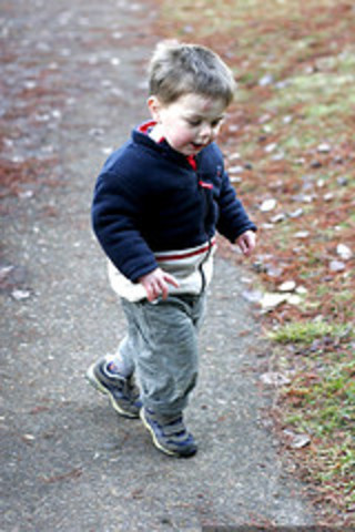 31 to 36 months physical development