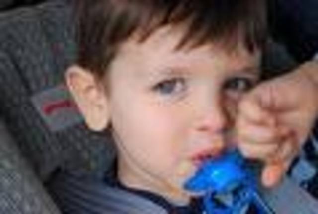 Cognitive 24-30 months