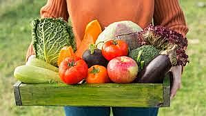 IDENTIFICACIÓN DE PRODUCTOS