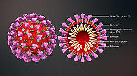 Timeline: C(O)RONOLOGIA