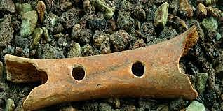 Epoca Neandertal - Flauta de hueso de oso