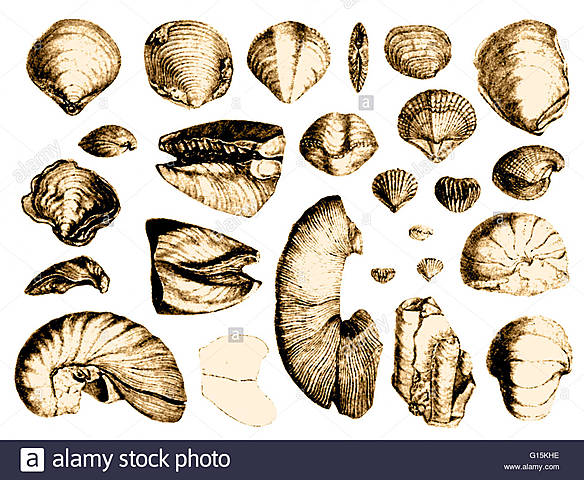 Valparaiso (Cile), escursione ai piedi delle Ande