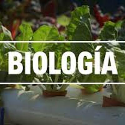 Timeline: Historia de la vida