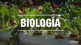 Timeline: Historia de la vida