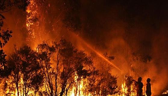 Incendio en Autralia