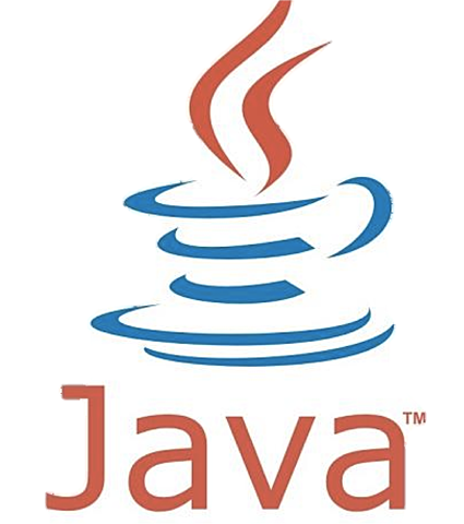 Nace JAVA