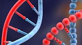 Timeline: Los principales descubrimientos del DNA