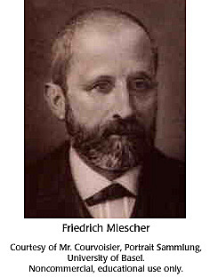 "Nucleína" (1871). Friedrich Miescher