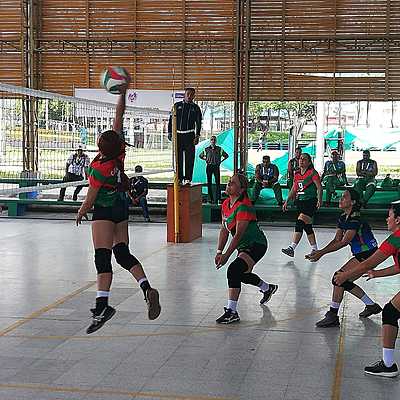Timeline: Voleibol