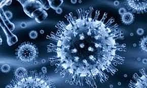 Caracterizacion del virus H1N1