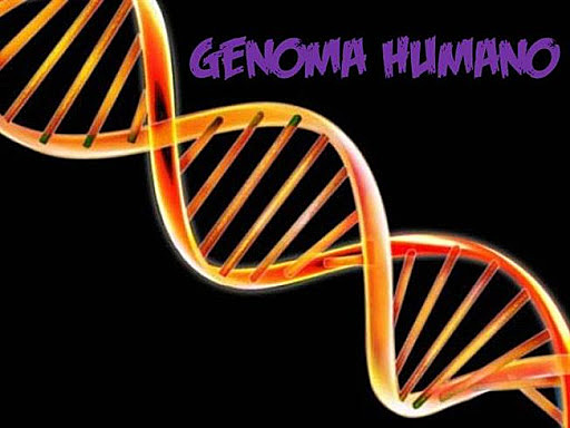 Aparición de dos borradores de la secuencia completa del genoma humano (2000)