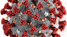 Timeline: SARS-CoV-2