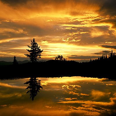 Timeline: ERAS GEOLÓGICAS