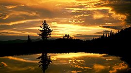 Timeline: ERAS GEOLÓGICAS