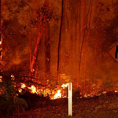 Timeline: ¿Es este el año del fin?
