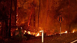 Timeline: ¿Es este el año del fin?