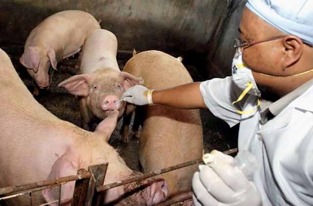 Earliest Onset of Swine Flu in the United States