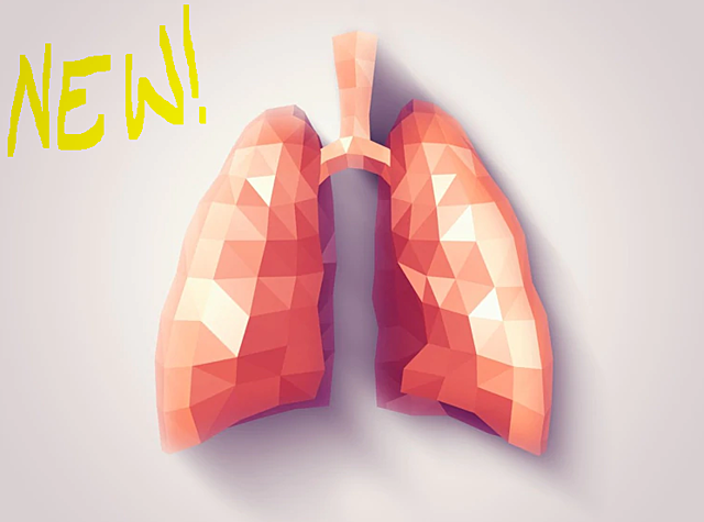 Nuevos descubrimientos