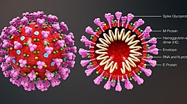 Timeline: Aparición del COVID19 en el mundo (SARS-CoV-2 o Coronavirus), desde su origen a la actualidad.
