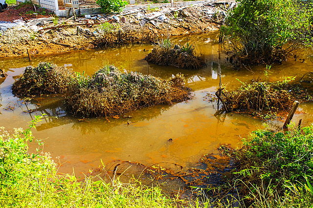 Agricultura Intensiva y Industrialización en Bulgaria