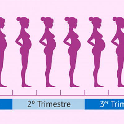 Timeline: Etapas del embarazo