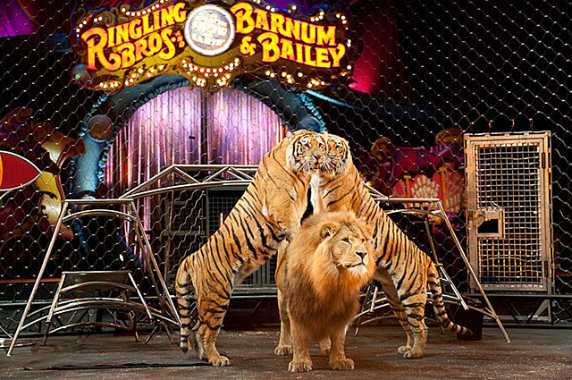 Ringling bros and Barnum