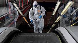 Timeline: quarantine diary