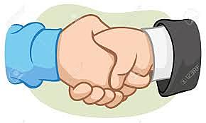 Fase de actividad política