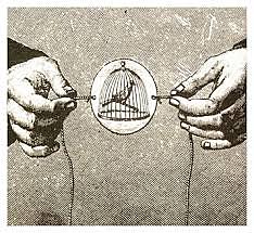 Taumatrópo del doctor Pari.