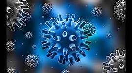 Timeline: Confinament Days