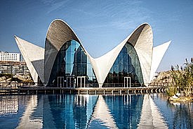 estructuras entramadas (oceanografico)