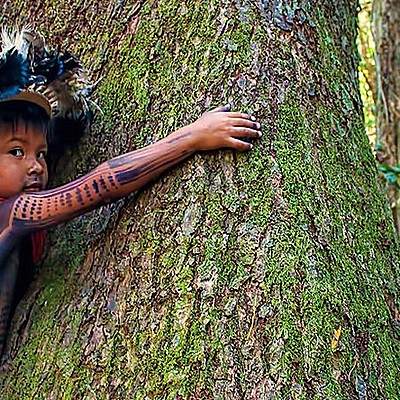 Timeline: Vinculación de dimensiones históricas y ambientales