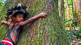 Timeline: Vinculación de dimensiones históricas y ambientales