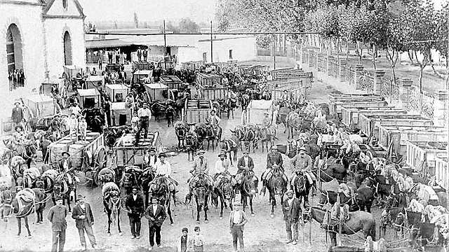 Burguesía vitivinicola