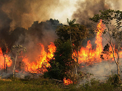 Incendios en la Selva Amazónica