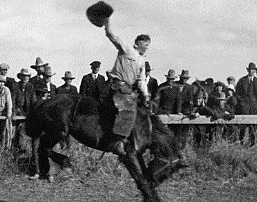 They Call the hing a Rodeo