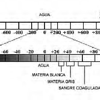 Primera Generación.