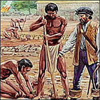 Ingresa a la orden dominica, al claustro de la española. Empieza la escritura de la historia de las indias. Inicia estudios de filosofía y teología, de acuerdo con las constituciones de la orden.