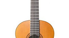 Timeline: LA GUITARA