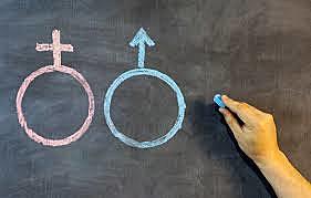 ENFOQUE DE GÉNERO EN EL DESARROLLO (GED)