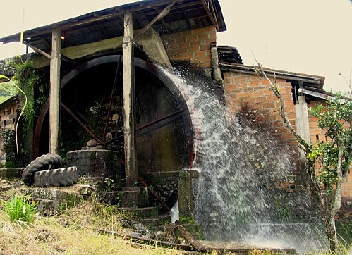 PRIMER TRAPICHE HIDRAULICO, Y COMPRA DEL TOTAL DEL NEGOCIO