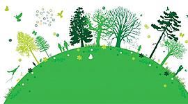 Timeline: Hacia el concepto de ecología