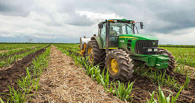 DIVISION DE LA COMPAÑIA