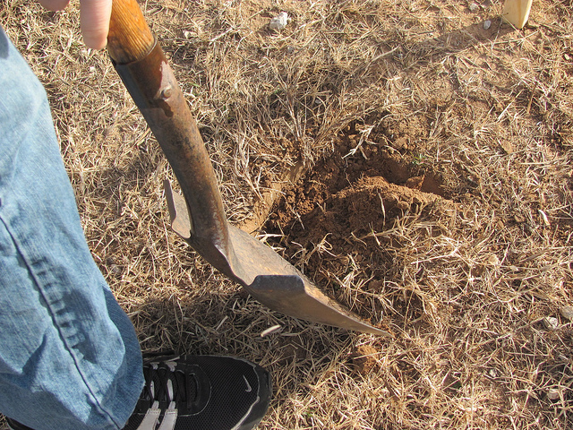 Materials and Equipment