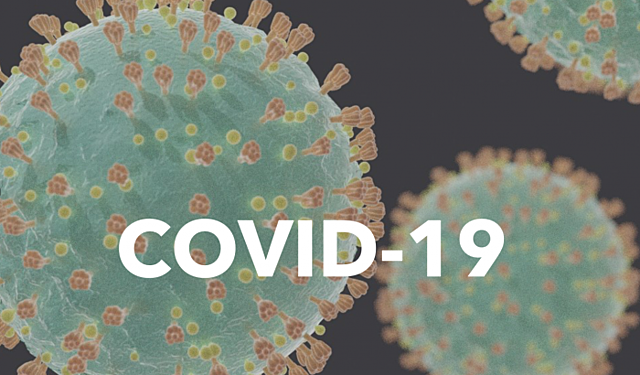 La OMS nombra el coronavirus como COVID-19.