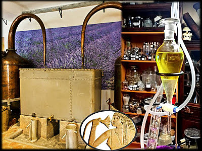 Estudié Aromaterapia