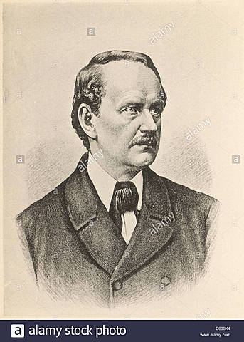 Estructura de las plantas