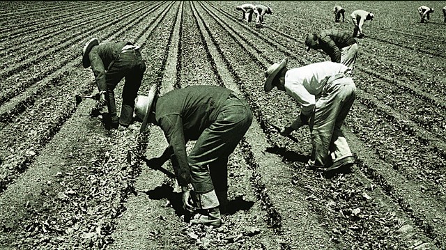 Nuevo acuerdo del programa Braceros