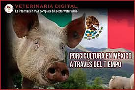 Porcicultura en México